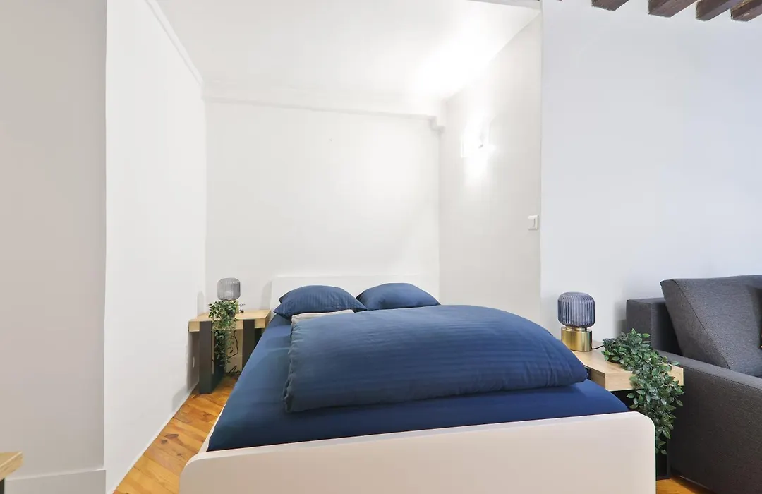 Studio Charmant Appartement Quartier Les Marais Free Netflix-1